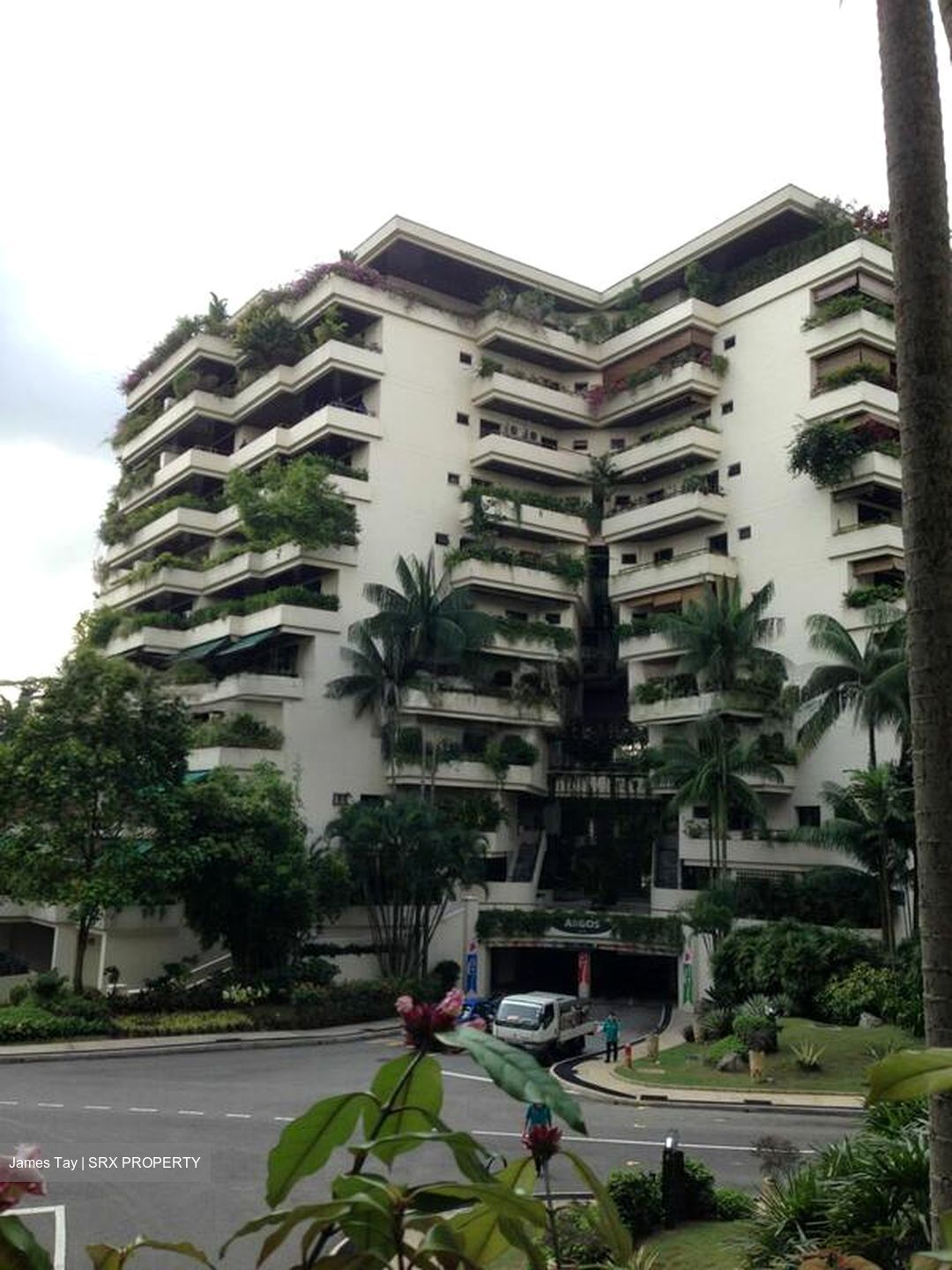 The Arcadia (D11), Condominium #510025851
